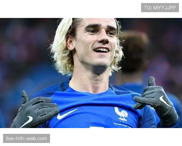 格里兹曼回撤组织的核心作用与串联机制解析